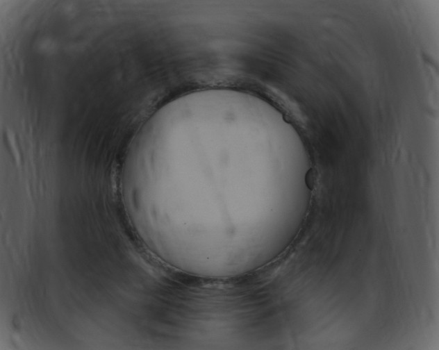 X0000096660065200802051006
