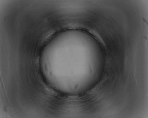 X0000096660066200802051006
