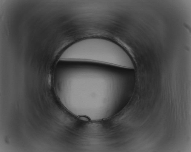 X0000096660067200802051006