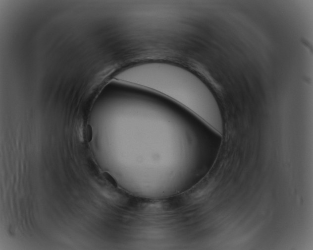 X0000096660068200802051006
