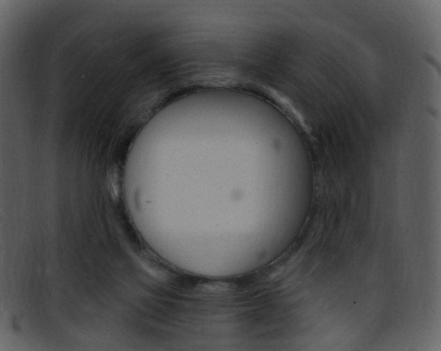 X0000096660069200802051006