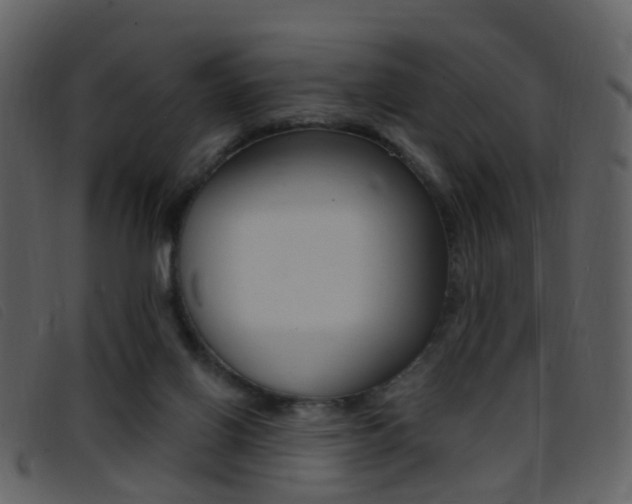 X0000096660070200802051006