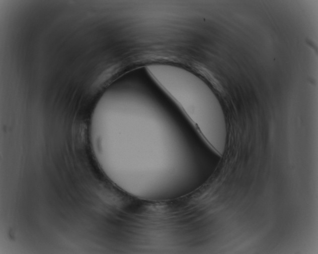 X0000096660071200802051006