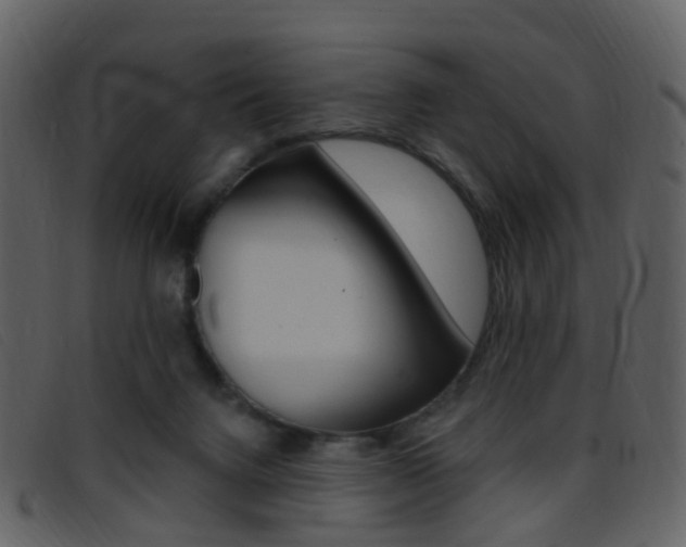 X0000096660072200802051006