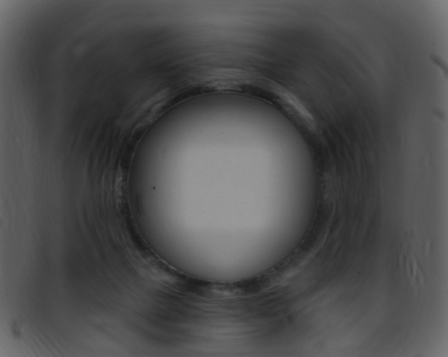 X0000096660073200802051006