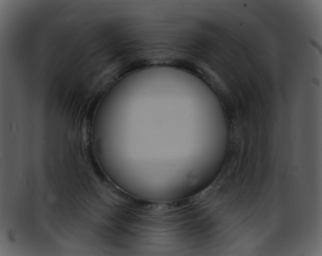 X0000096660074200802051006