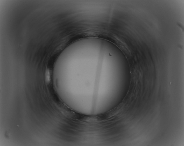 X0000096660075200802051006