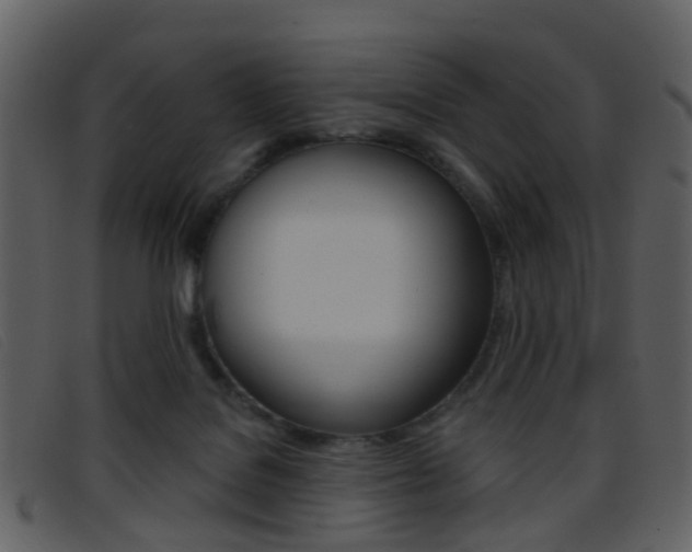 X0000096660076200802051006