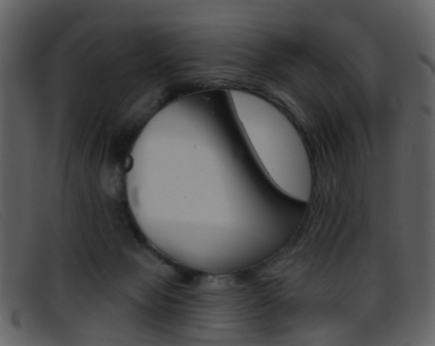 X0000096660077200802051006