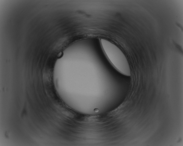 X0000096660078200802051006