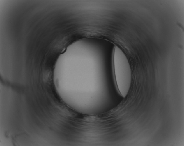 X0000096660079200802051006
