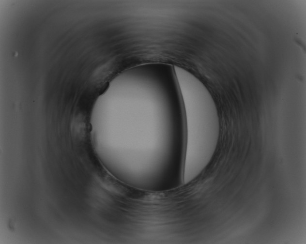 X0000096660080200802051006