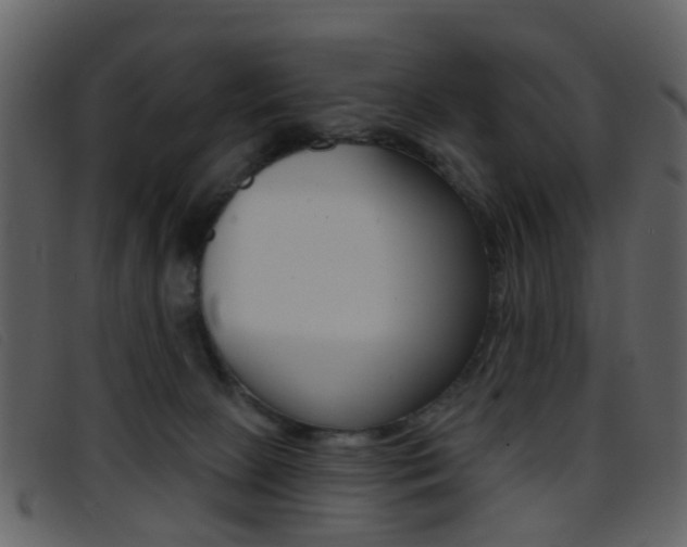 X0000096660081200802051006