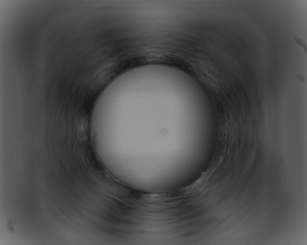 X0000096660082200802051006