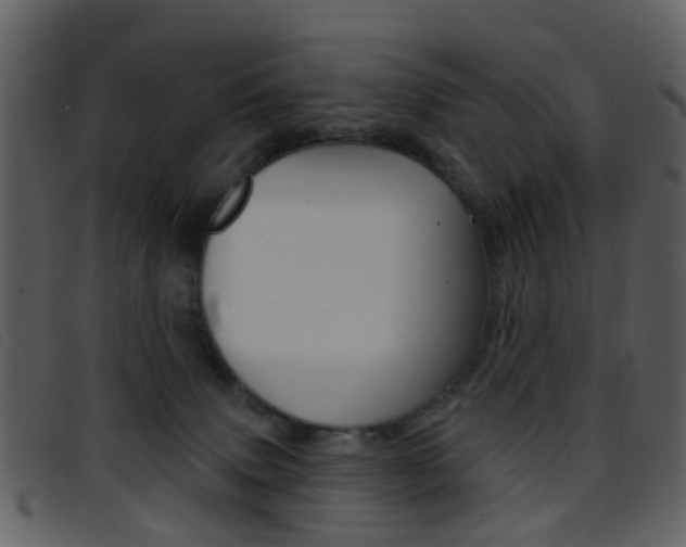 X0000096660083200802051006