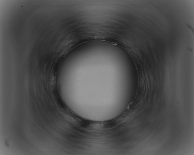 X0000096660084200802051006