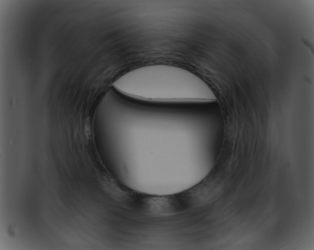 X0000096660085200802051006