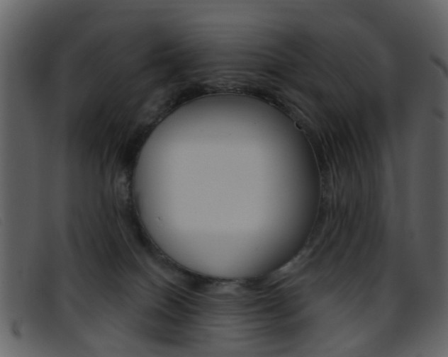 X0000096660086200802051006
