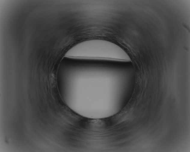 X0000096660087200802051006