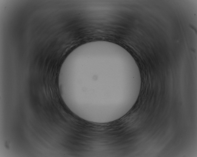 X0000096660088200802051006