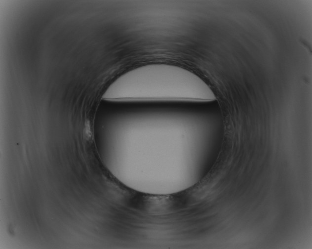 X0000096660089200802051006