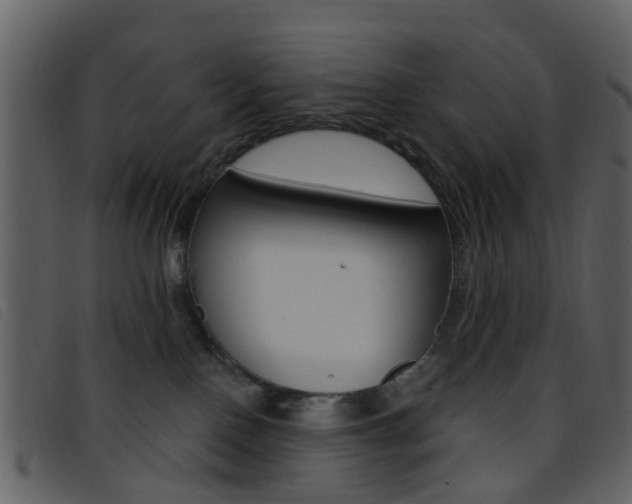 X0000096660090200802051006