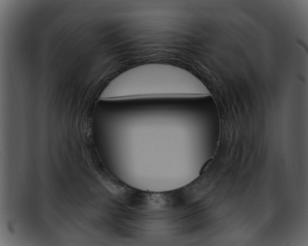 X0000096660091200802051006