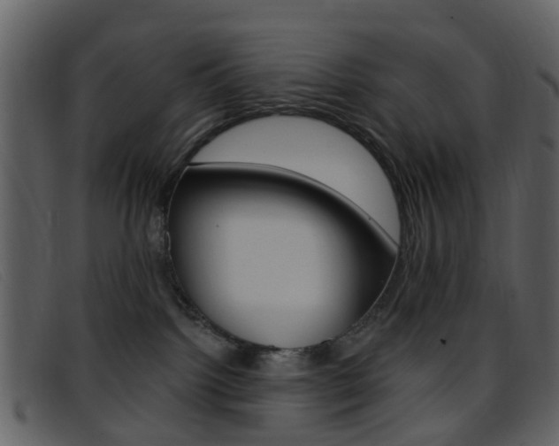 X0000096660092200802051006
