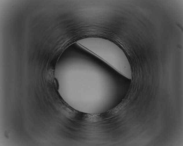 X0000096660093200802051006