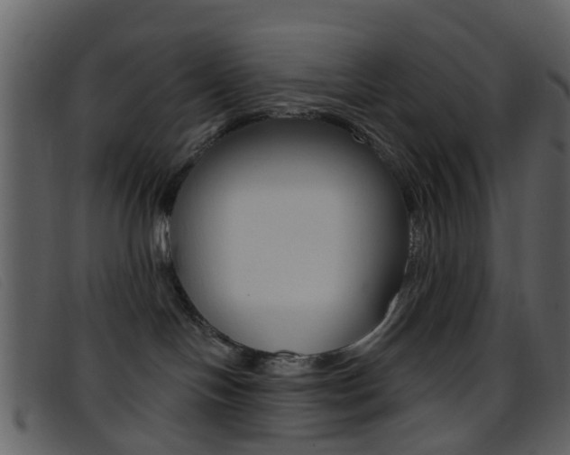 X0000096660094200802051006