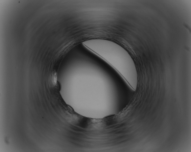 X0000096660095200802051006