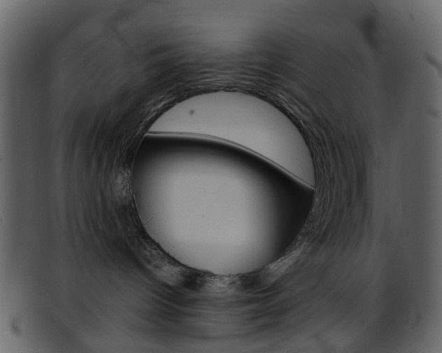 X0000096660096200802051006