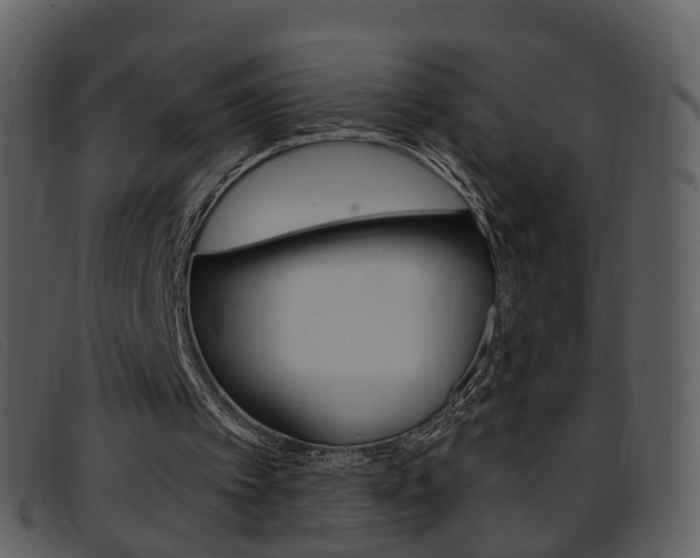 X0000096660097200802051005