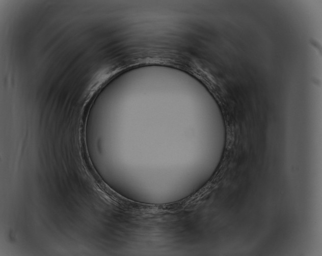 X0000096660098200802051005
