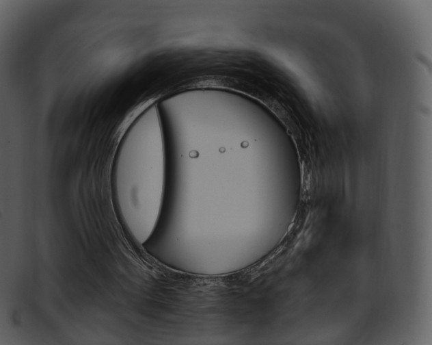 X0000096660099200802051005