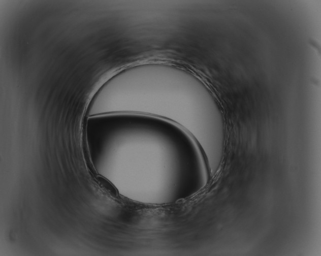 X0000096660100200802051005
