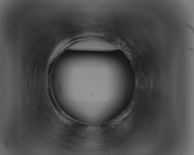 X0000096660101200802051005