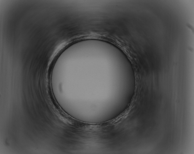 X0000096660102200802051005
