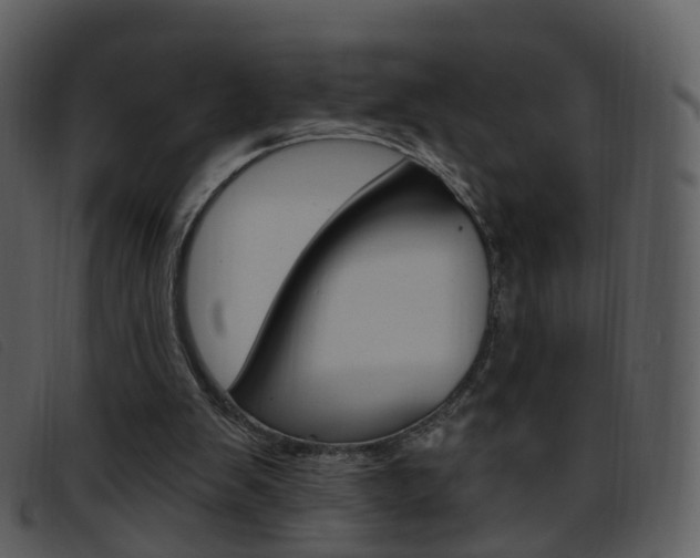 X0000096660103200802051005