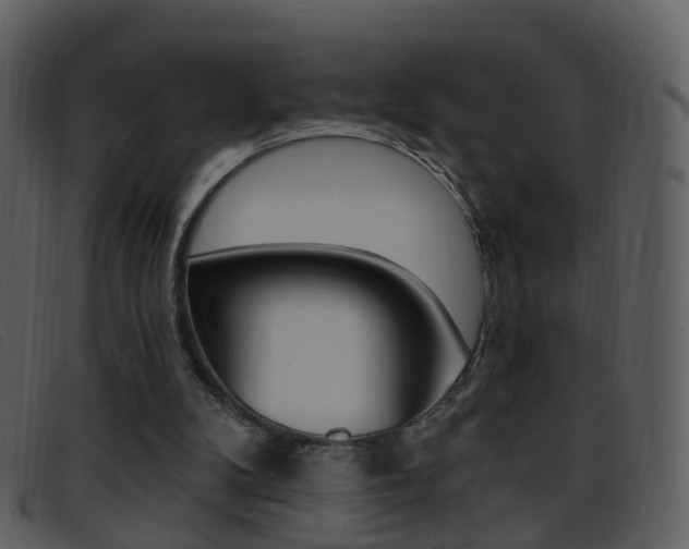 X0000096660104200802051005