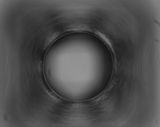 X0000096660105200802051005