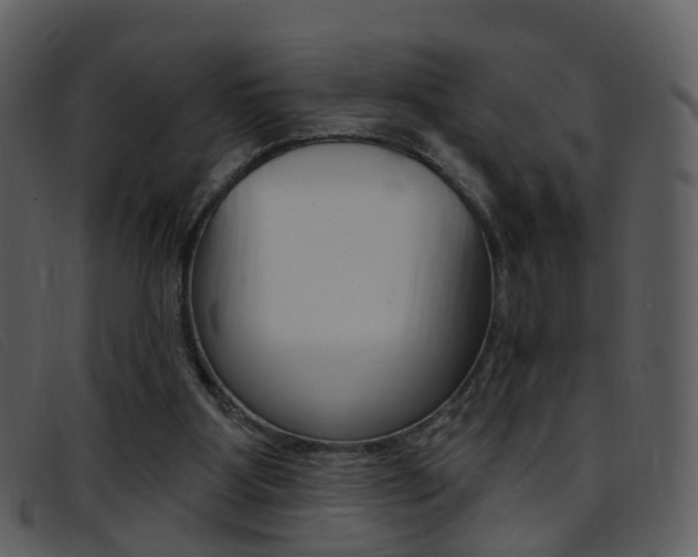 X0000096660107200802051005