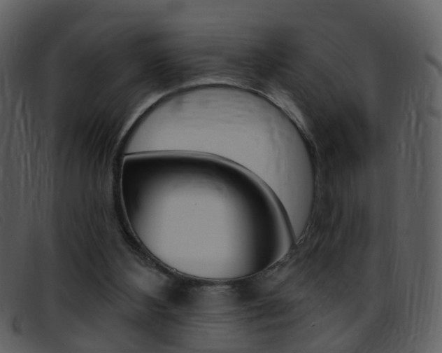 X0000096660108200802051005