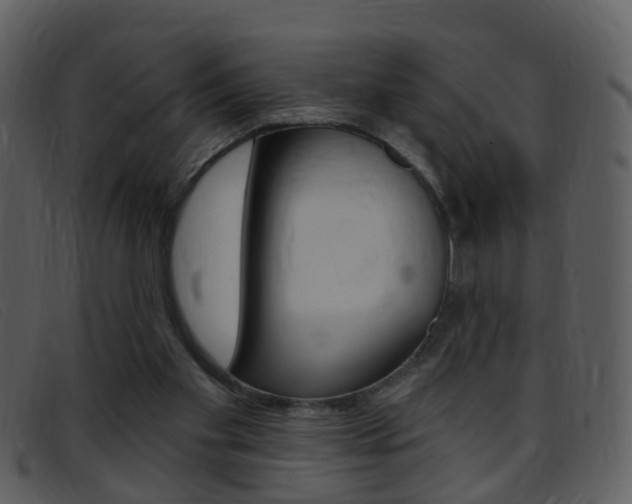 X0000096660109200802051005