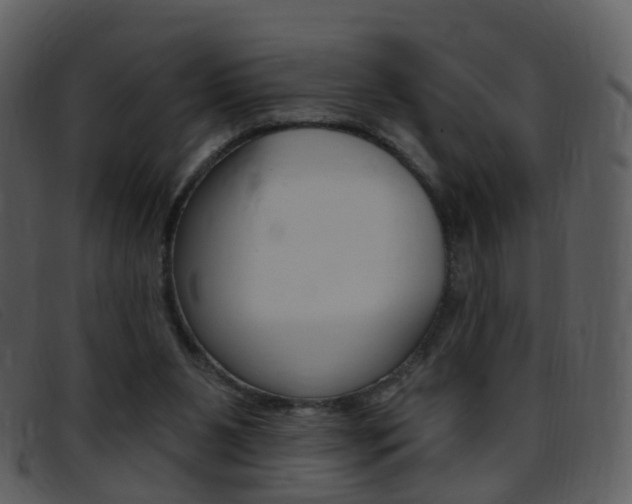 X0000096660111200802051005