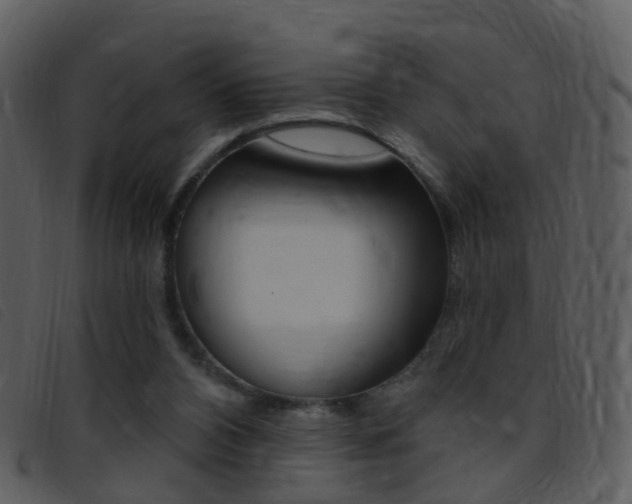X0000096660112200802051005