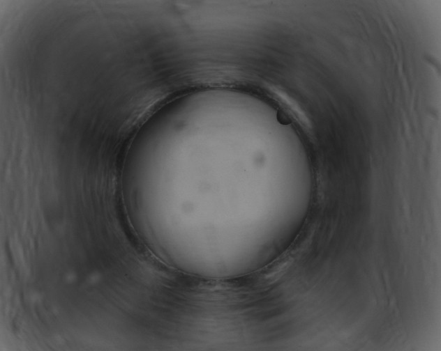 X0000096660113200802051005