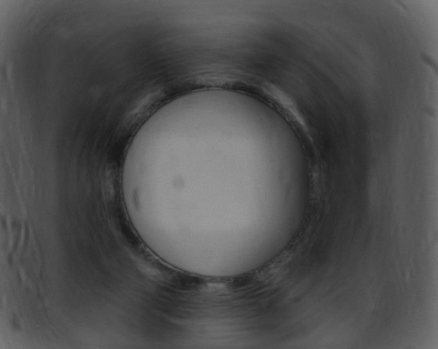 X0000096660114200802051005