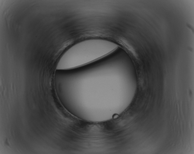 X0000096660115200802051005