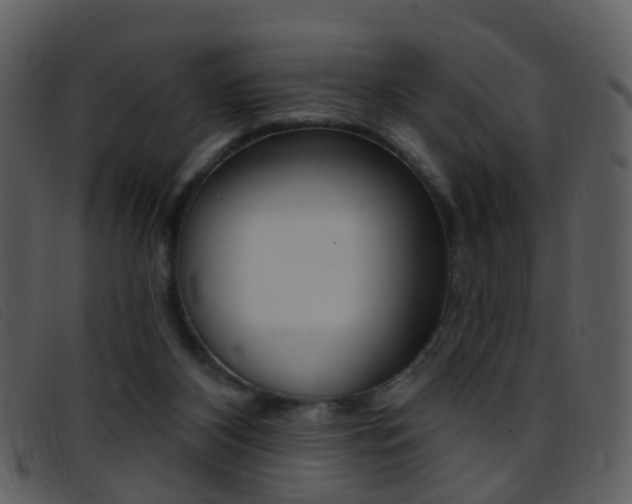 X0000096660116200802051005